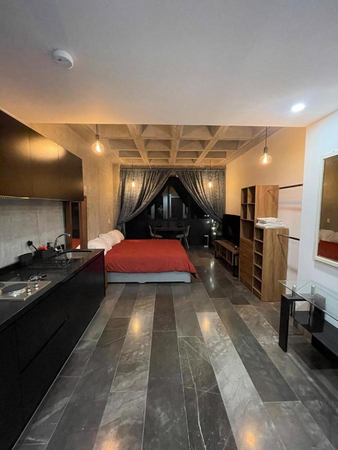 Loft in the Heart of Roma Norte - 4