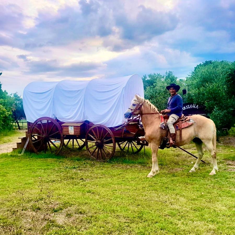 Equitazione e cavalli del ranch a Misano Adriatico