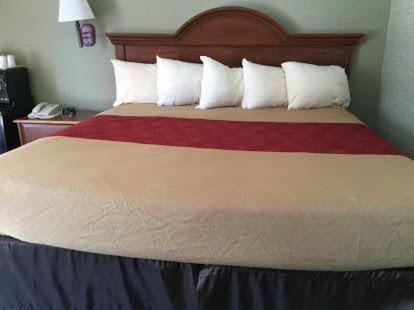 Falls Inn — photo 17