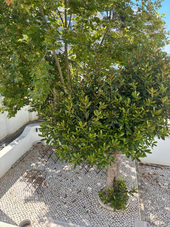 Sintra Flower Vintage Chalet - 5