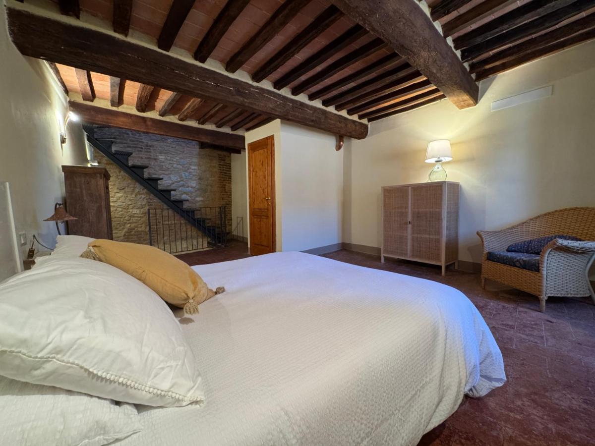 Le Ripe di Terricciola - 3