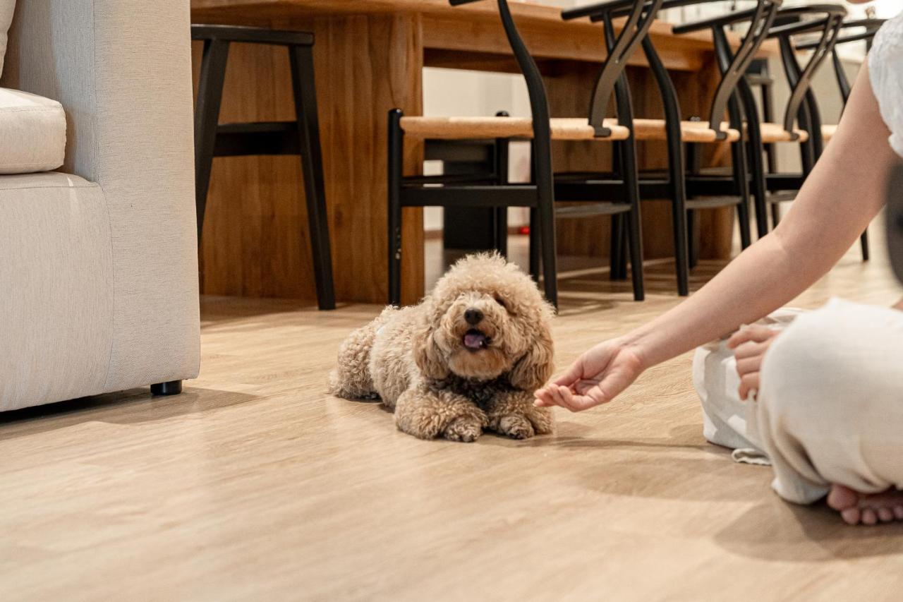 Asok house Sukhumvit27 Free BF - 3