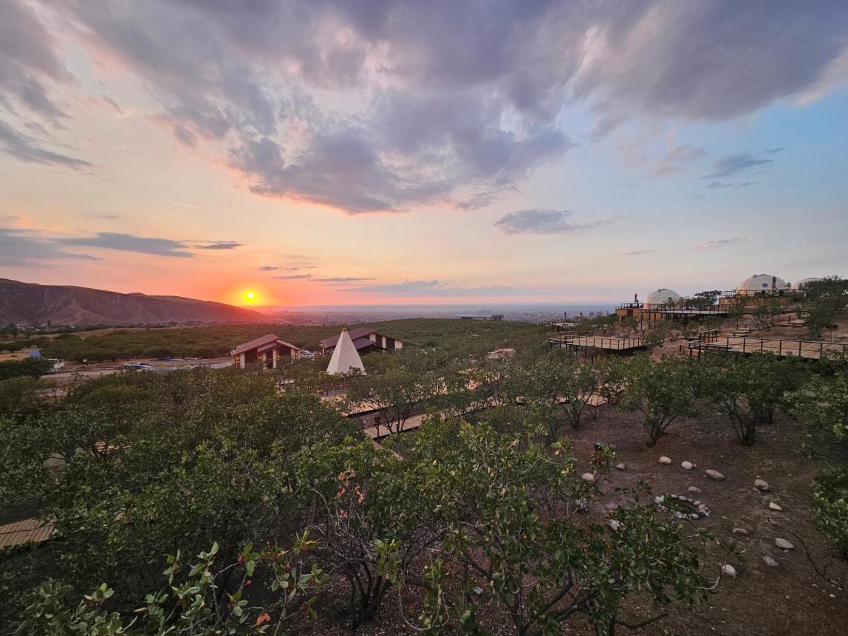 EcoHouse Glamping — 2