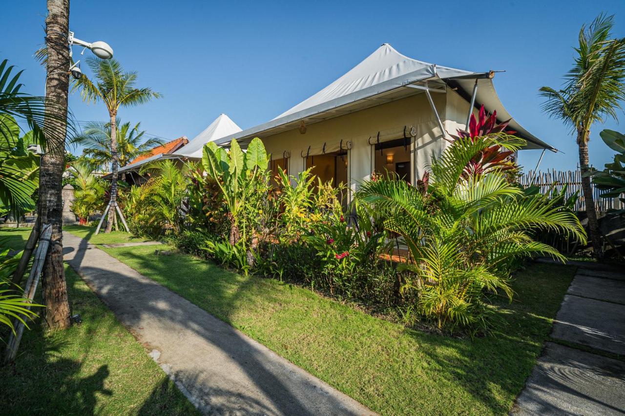 Paddy's Glamping Managed by Manara - 5