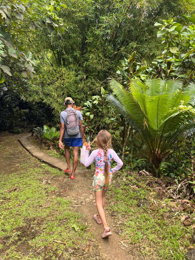 Classic Fijian Home - 3