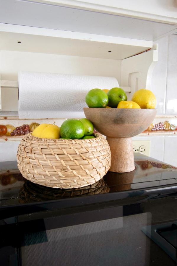 Tropical Mega Mexican Beach - 2