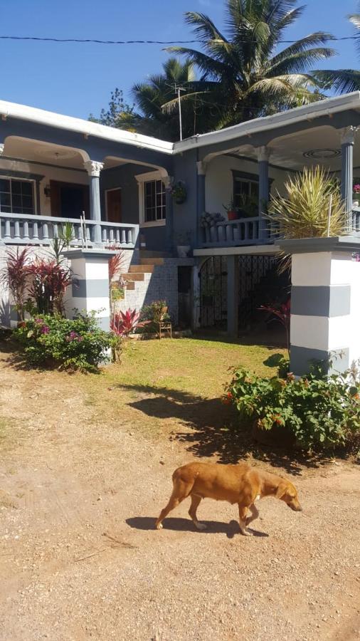 Orange Hill Manor - 4