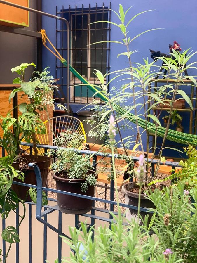 Latidos del Centro de CDMX - 3