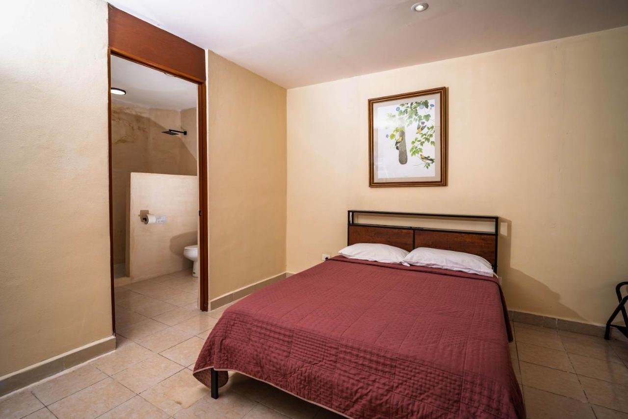 Spacious Loft and Large Bath Casa Jurel - 3