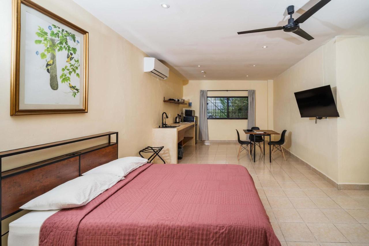 Spacious Loft and Large Bath Casa Jurel - 5