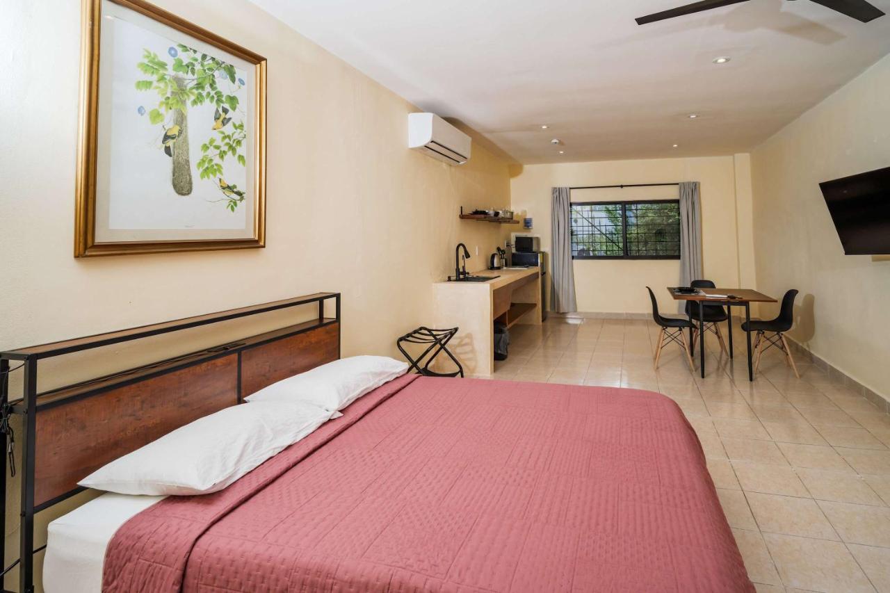 Spacious Loft and Large Bath Casa Jurel - 4