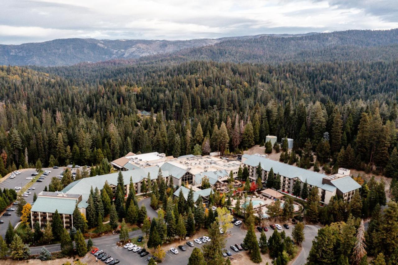 Serendipity Lodge @ Yosemite — photo 10
