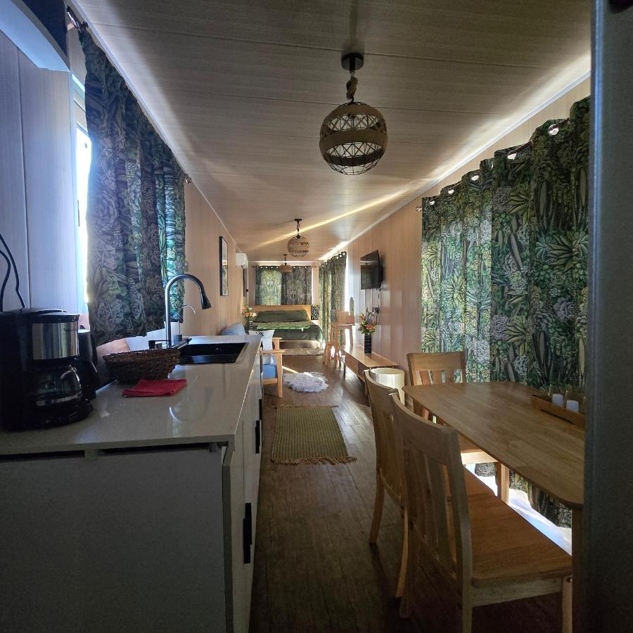 Green Discovery's Birds' Nests - 2