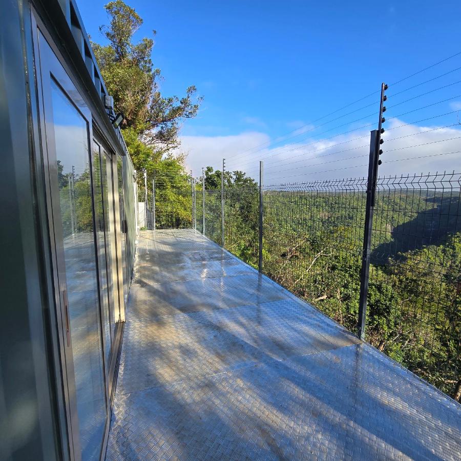 Green Discovery's Birds' Nests - 3