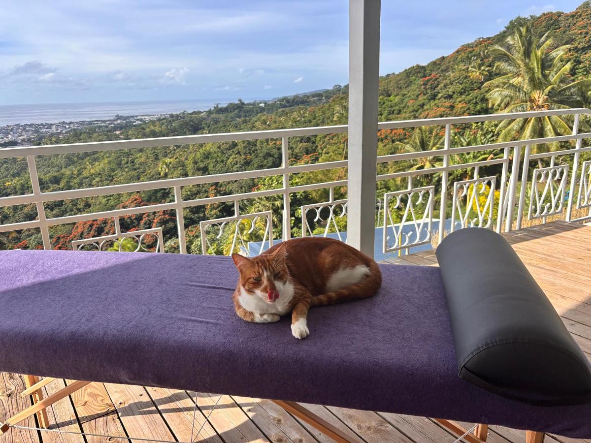 Airport Pamatai Studio - 5