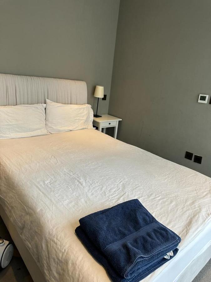 2 en-suite bedroom apartment central London 2RS - 4