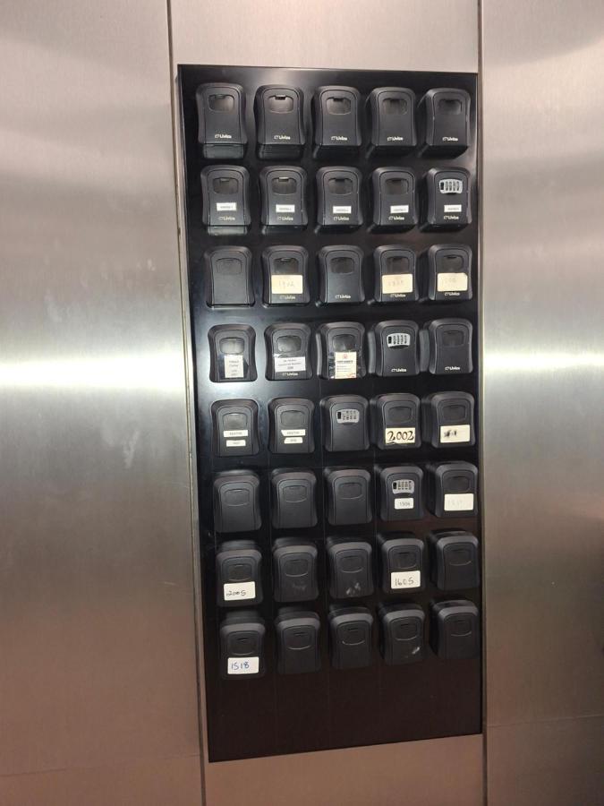 1501 Golden Thibault - 5