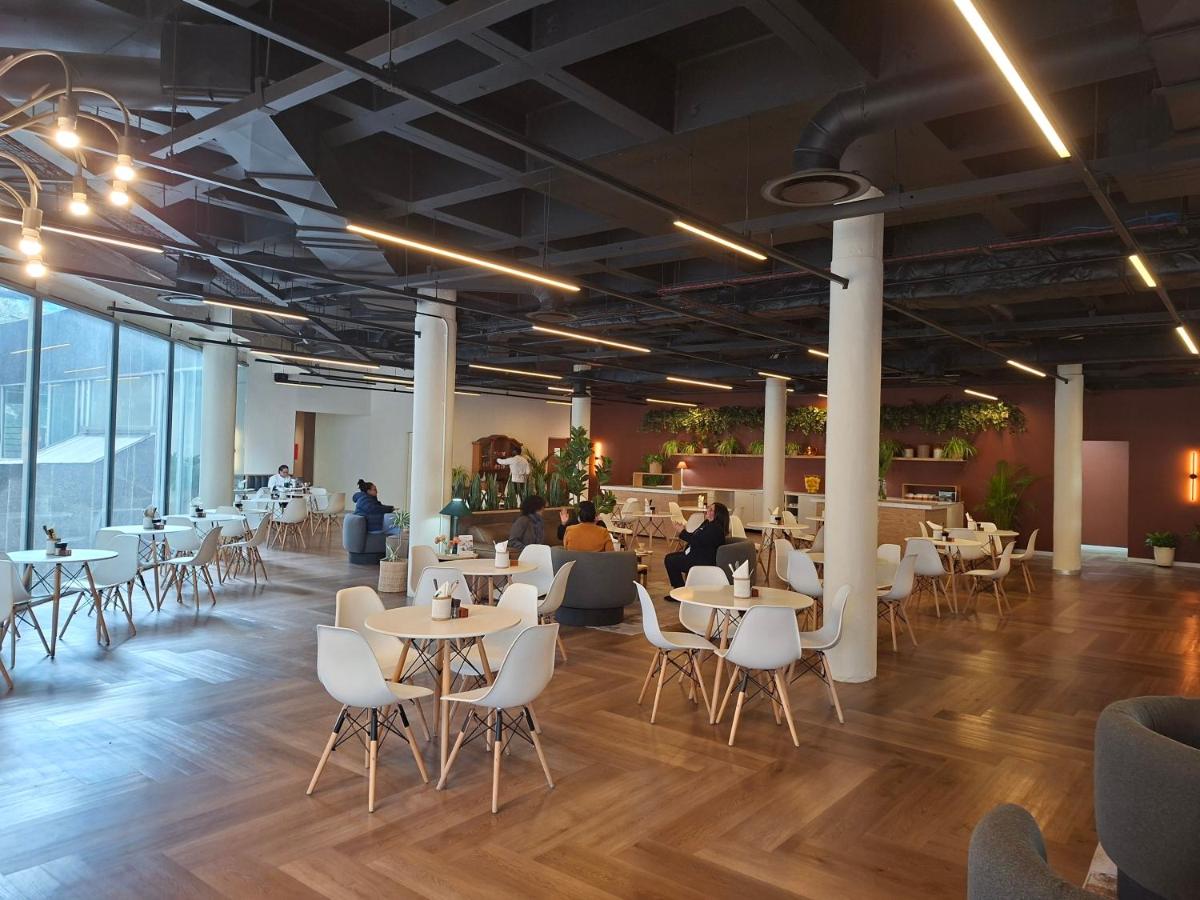 1501 Golden Thibault - 4