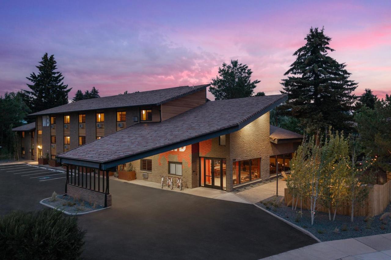 Image: Wandering Buffalo