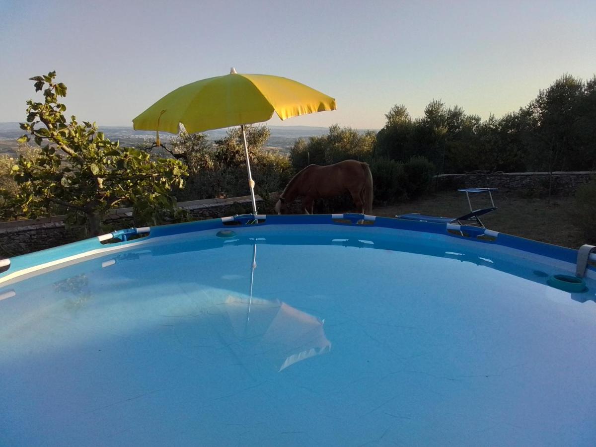 Poderino La Noce - 2