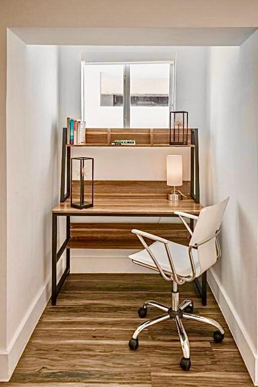 Agave on the Beach - 2