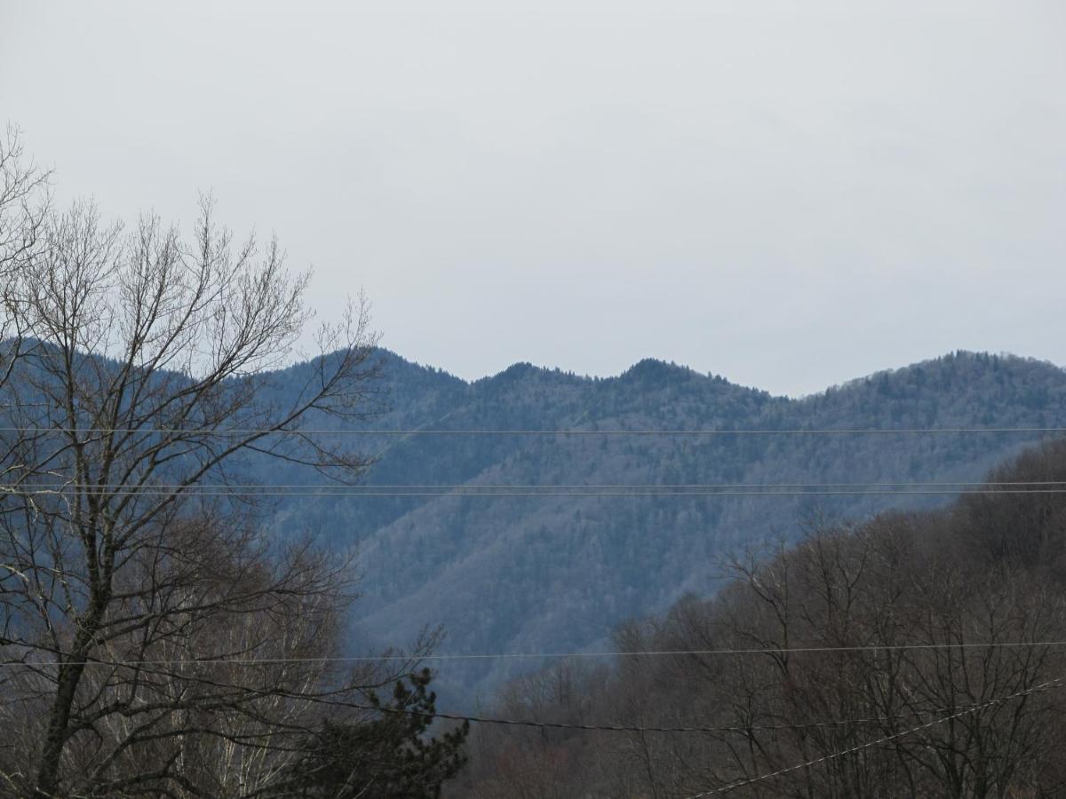 Jonathan Creek Inn — photo 21