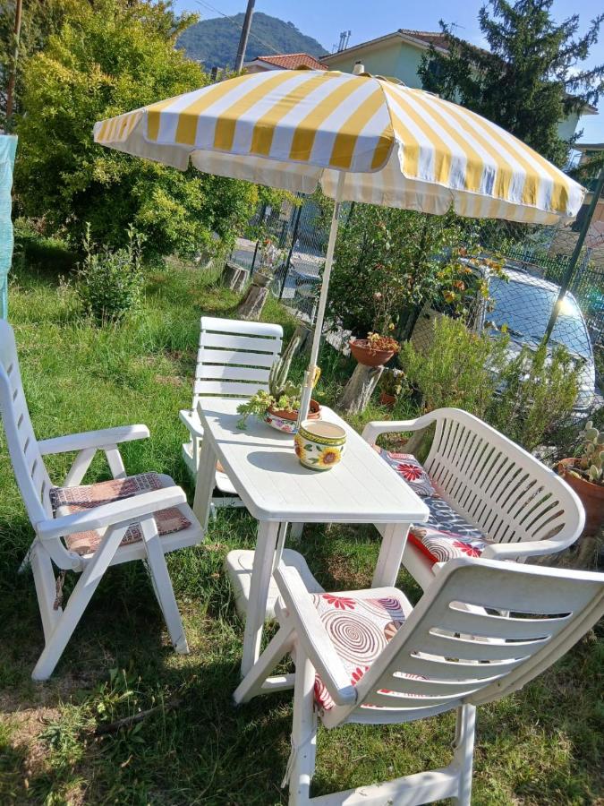 La casa nel verde - 5