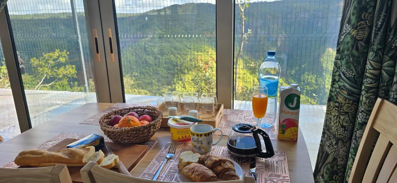 Green Discovery's Birds' Nests - 5