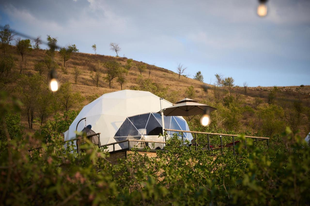 EcoHouse Glamping — 22