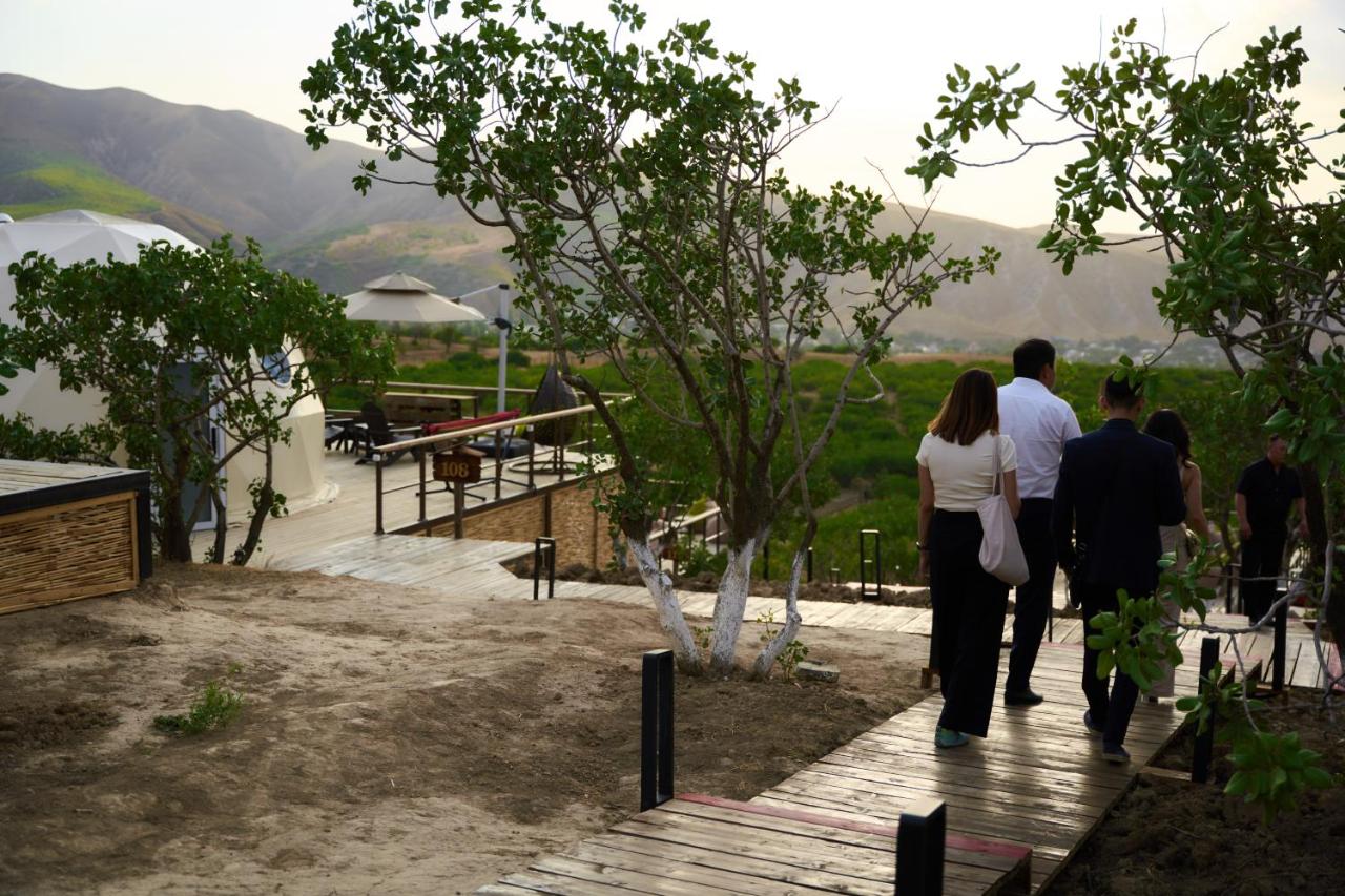 EcoHouse Glamping — 16