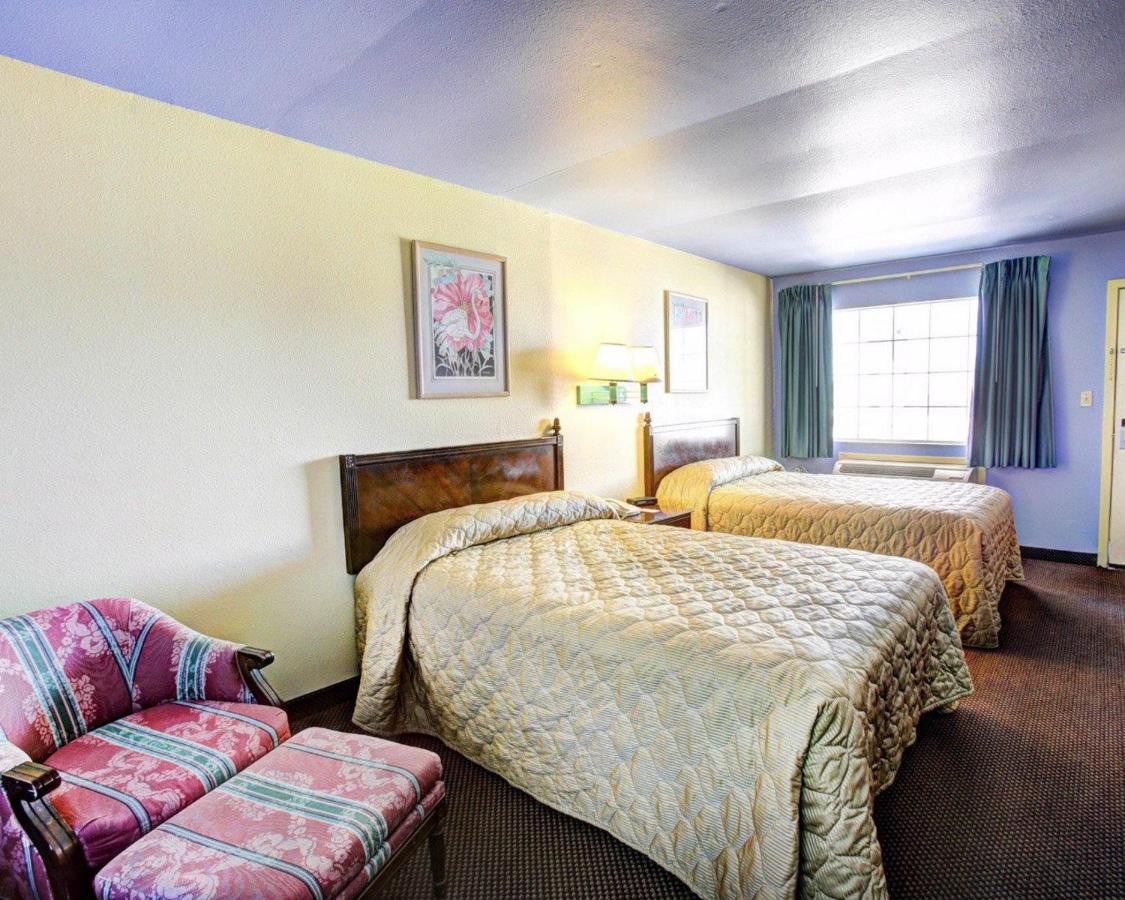 Modern Inn — photo 7