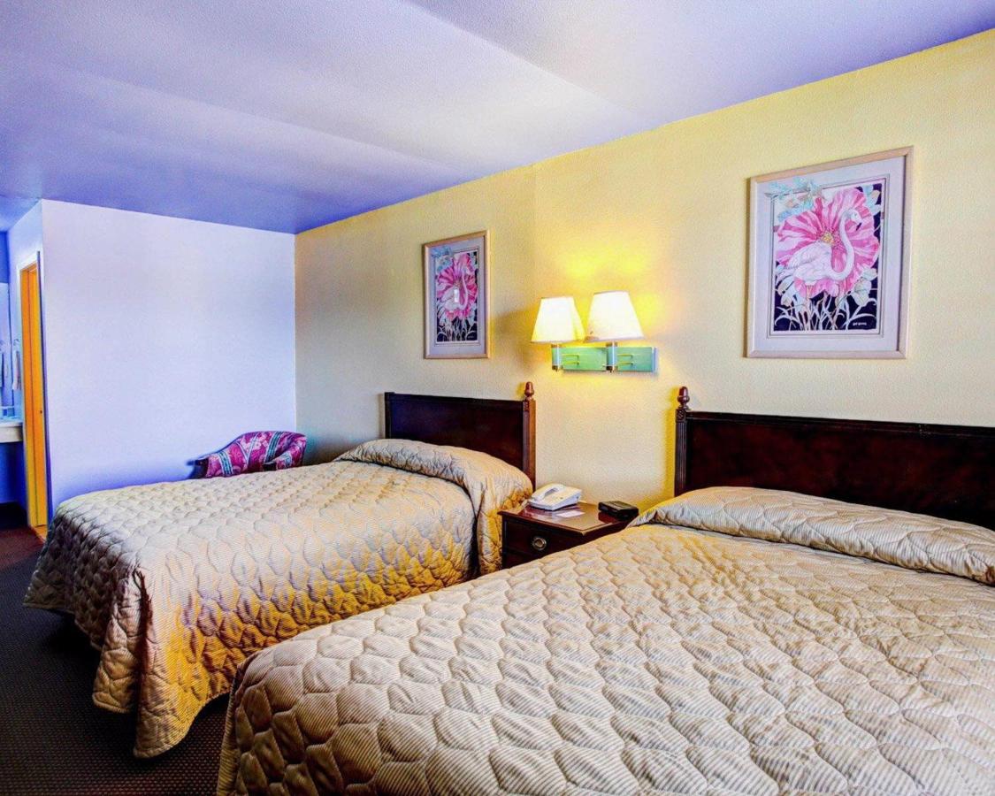 Modern Inn — photo 12