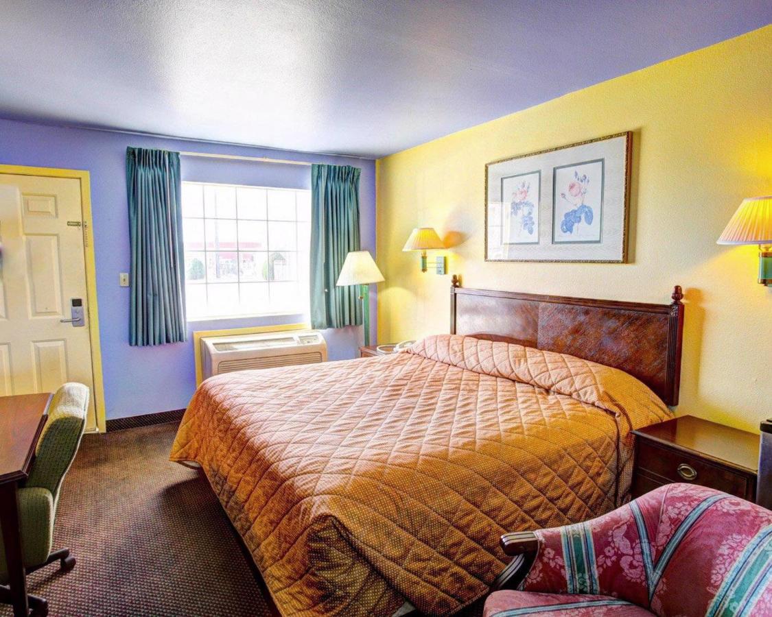 Modern Inn — photo 5