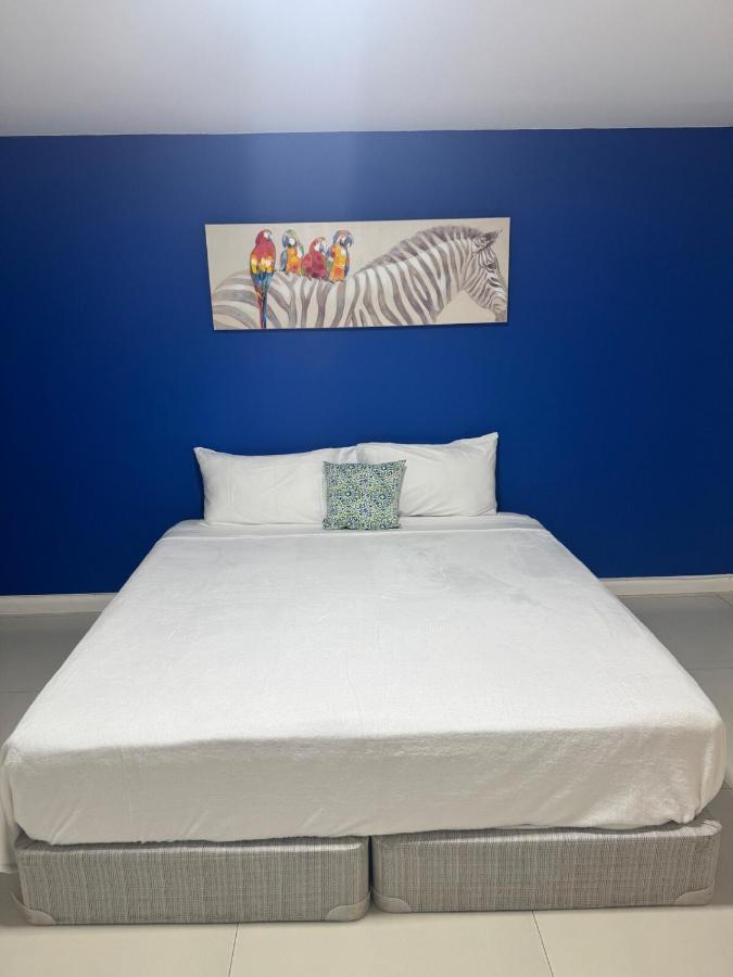 Pearl of the City LIGUANEA - 4