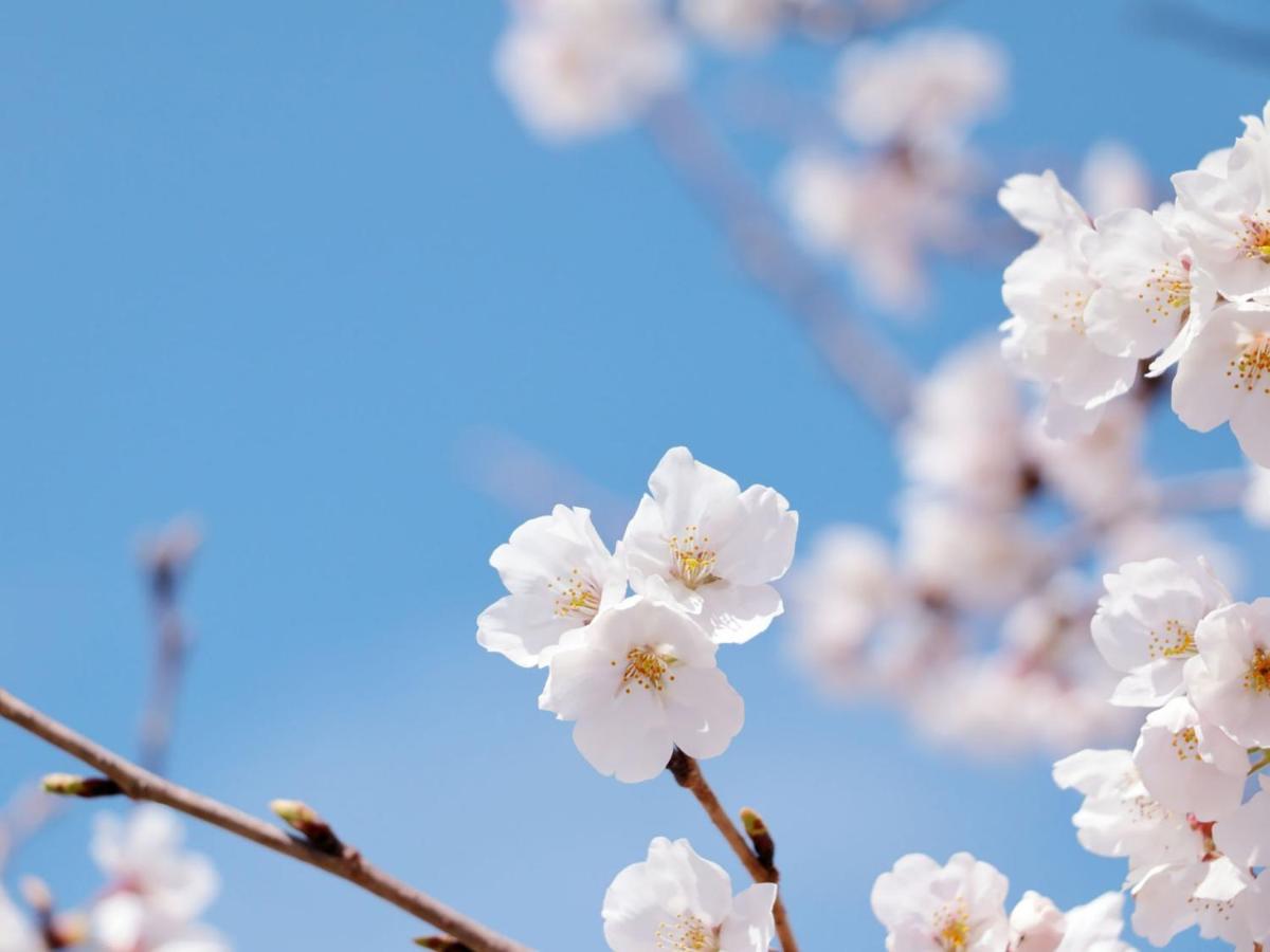 Rakuten STAY Tokyo Asakusa Twin Room with Unit Bath - 2