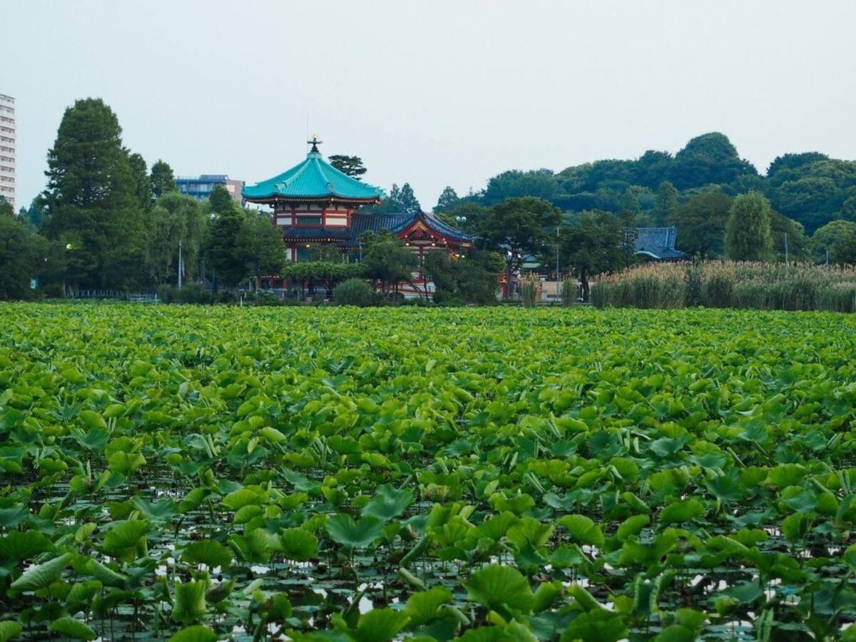 Tora Hotel Taito - Vacation STAY 53048v - 5