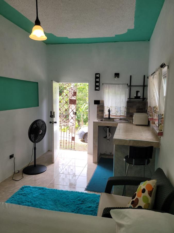 Cozy studio apartment with private parking off street - 4