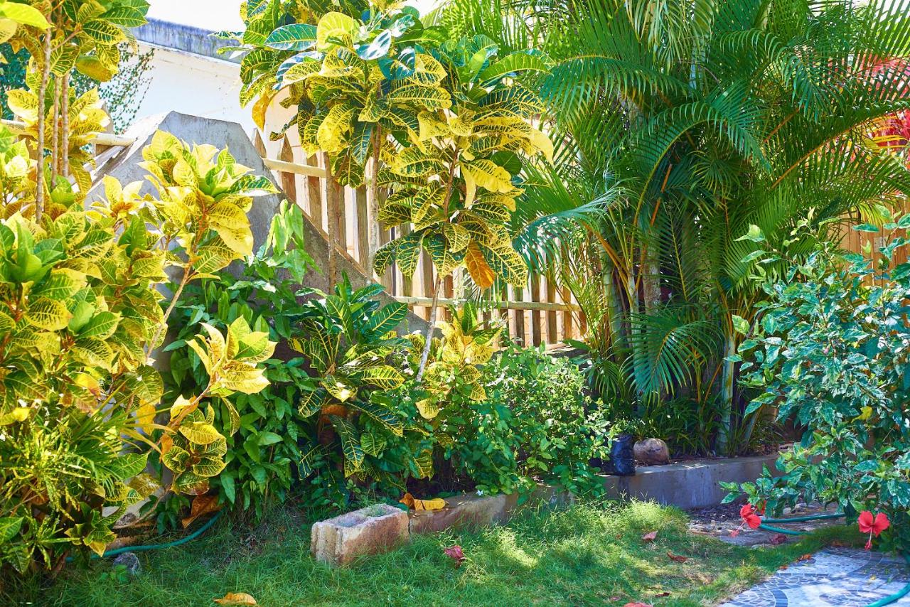 Pergola House 1 or 2 bedrooms - 3