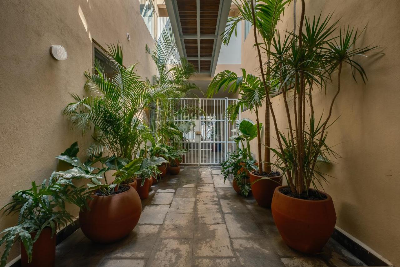 Cholula Condesa Hotel by Lumina - 2