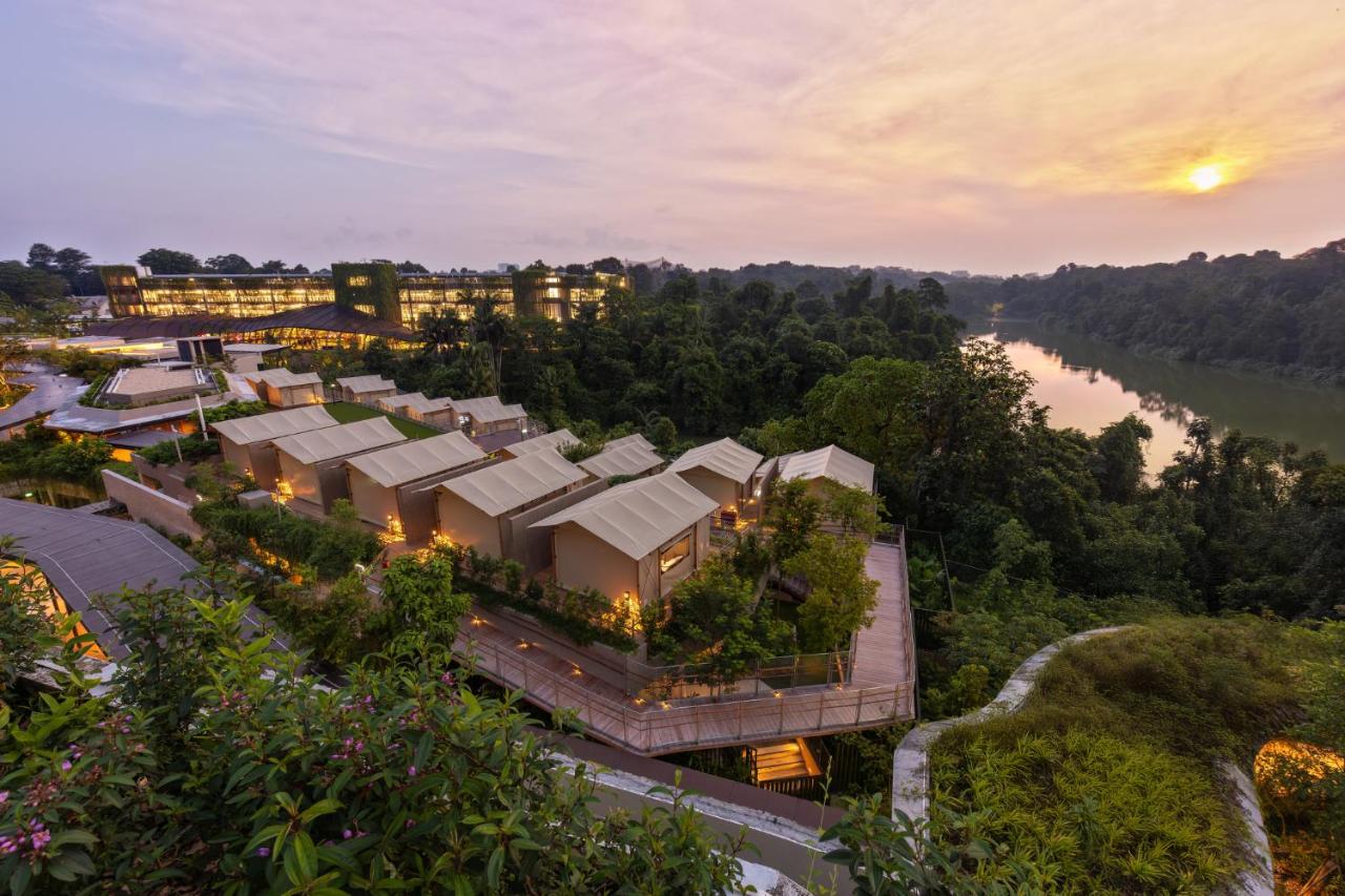 Colugo Camp, Mandai Wildlife East - 2