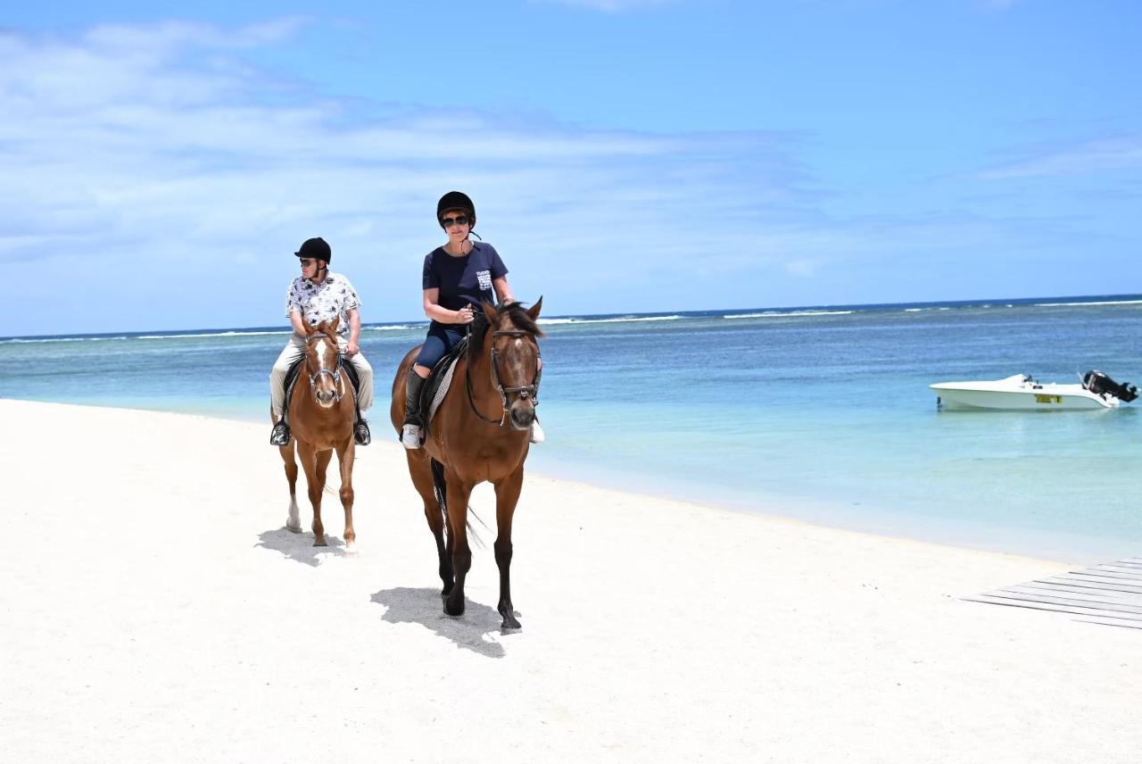 Stunning beachfront apartment, Seaview, 20 metres from beach - 5