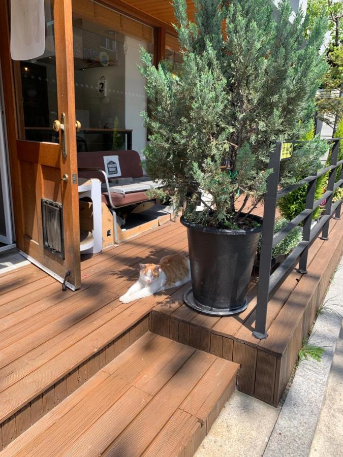 Cozy Erin Stay, Seoul - 3