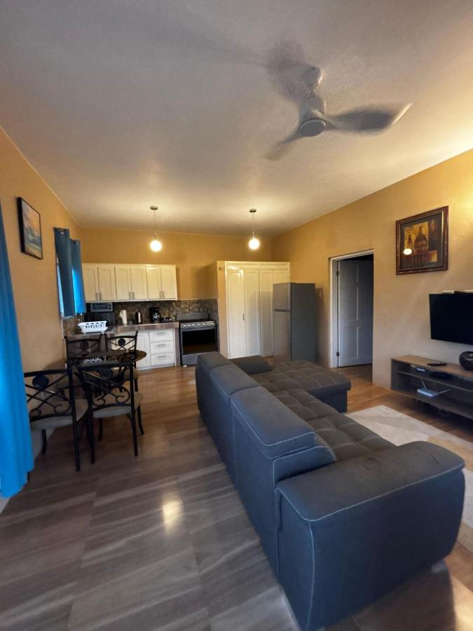 Sorina's Apartments - 5