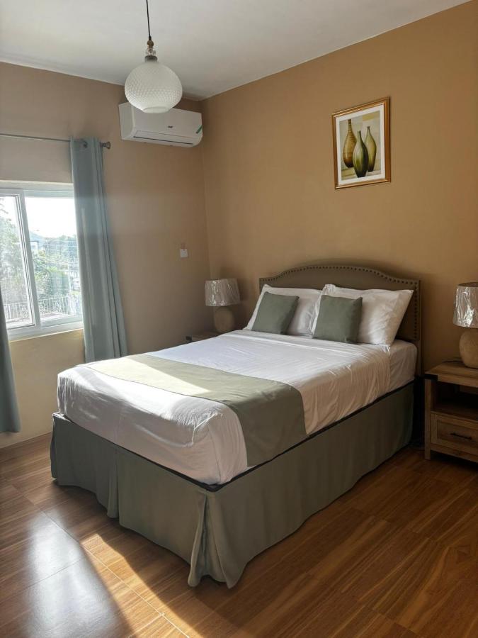 Sorina's Apartments - 2