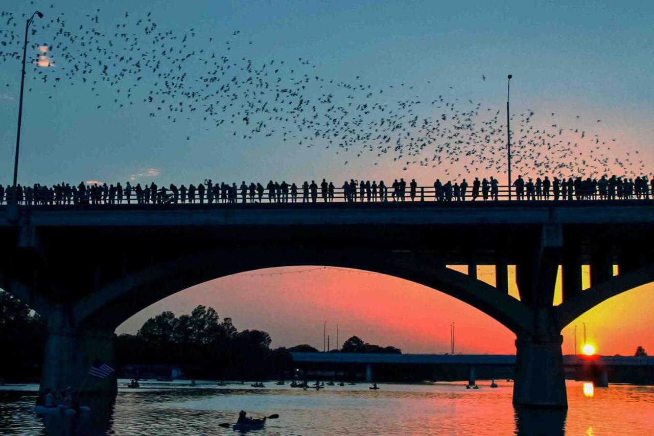 Hyde Park Carriage House - 2