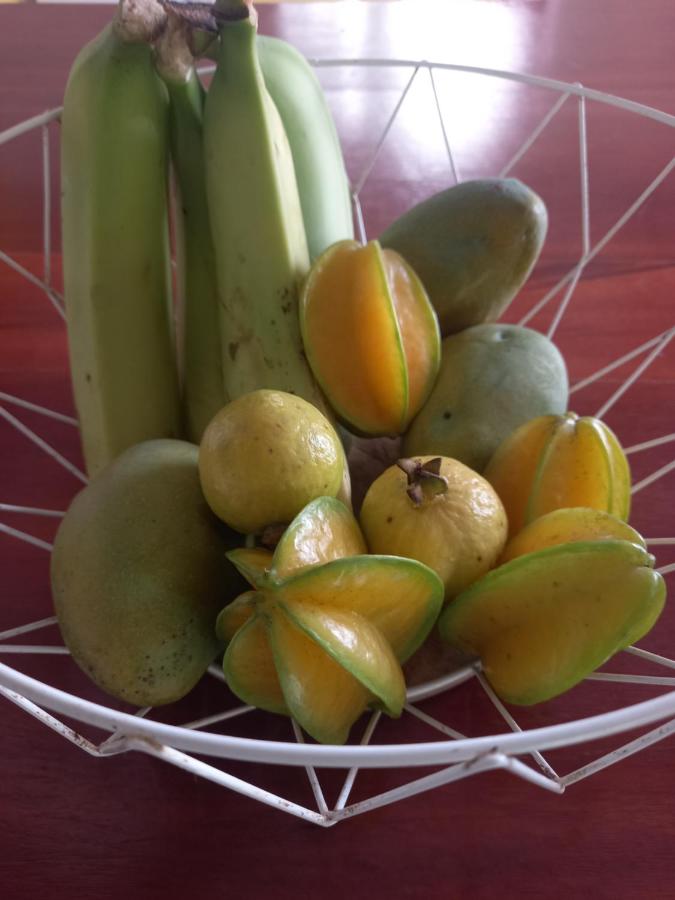 L ombre du manguier - 3