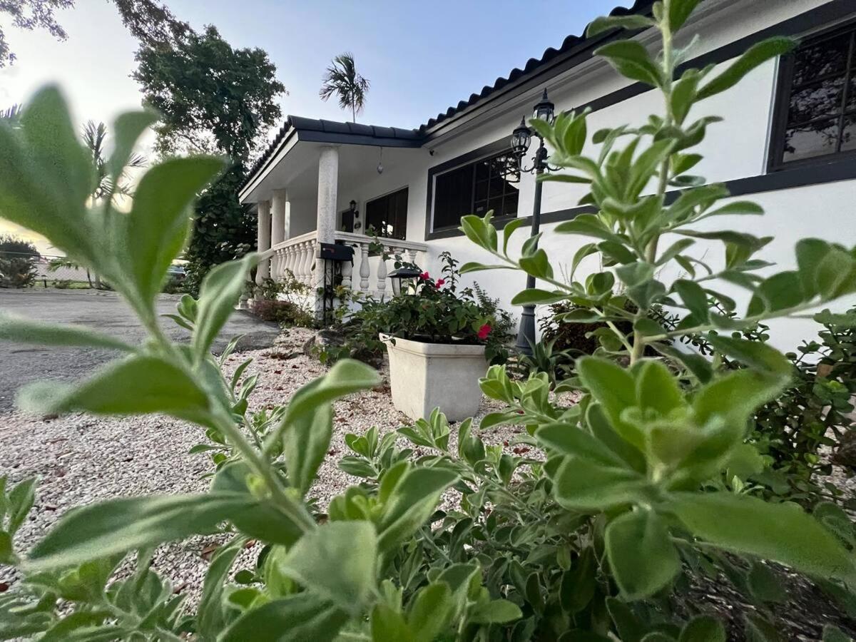 Casa Bugambilia near Miami Airport - 2