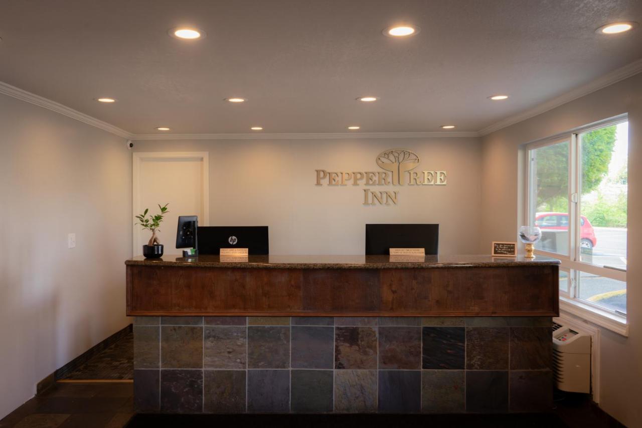 Pepper Tree Motel — photo 4
