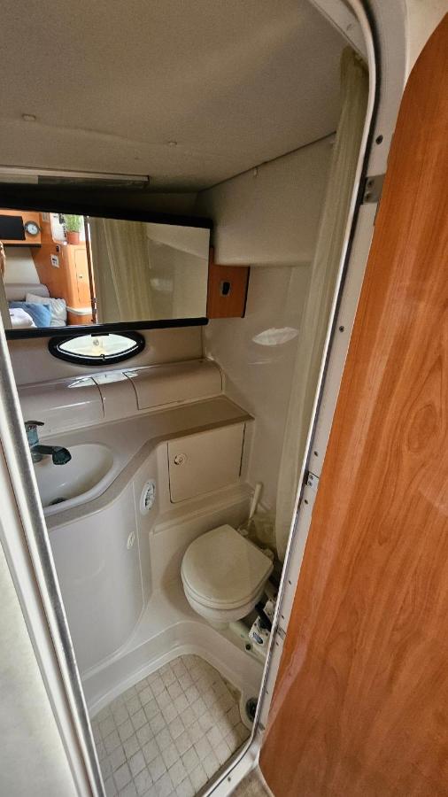 Lisbon Boat Speedboat O Thor - 3