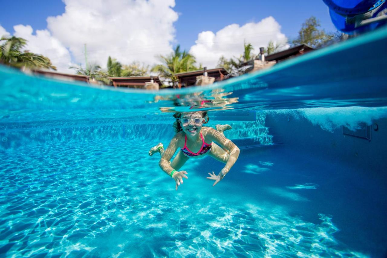 BIG4 Gold Coast Holiday Park photo